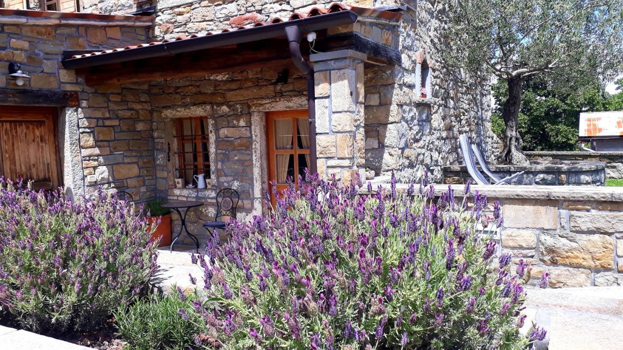 Wine House Rakar Guest House Gračišče Bagian luar foto