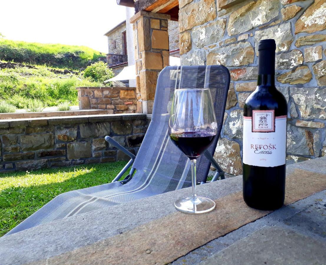 Wine House Rakar Guest House Gračišče Bagian luar foto